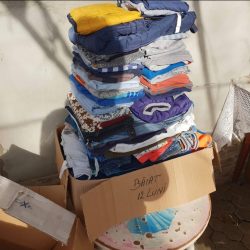 WhatsApp Image 2024-08-07 at 15.47.47