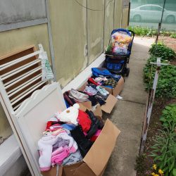 WhatsApp Image 2024-08-07 at 15.47.49